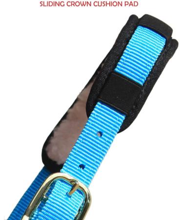T TEKE Lunge Cavesson - Black Full Size with Fleece Lined Nose Band - Buy Online on GoSupps.com
