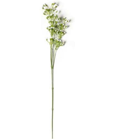 Ashland Ivory Mini Baby's Breath Spray 12 Pack - Buy Online on GoSupps.com