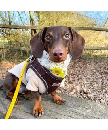 Bunty Medium Dog Harness & Puppy Harness - Durable Lightweight Design Breathable Comfy Padded Reflective Trim - Anti Pull Dog Harness Medium Lead Attachment Easy Fit - Yellow Medium Yellow - Buy Online on GoSupps.com