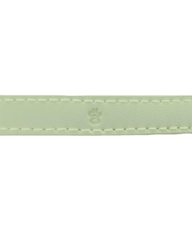 Animal Outfitters UK Purrfect Pastel Collection Cat Collar | Mint Silver Bell | Adjustable Breakaway Kitten Collar - Buy Online on GoSupps.com