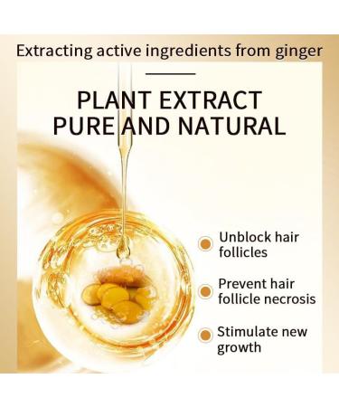 Ginger Shampoo Hair Serum Anti Hair Loss Shampoo Ginger Shampoo Moisturizing and Firming for Hair Natural Formula with Gentle Ginger and Ginger Serum - Buy Online on GoSupps.com