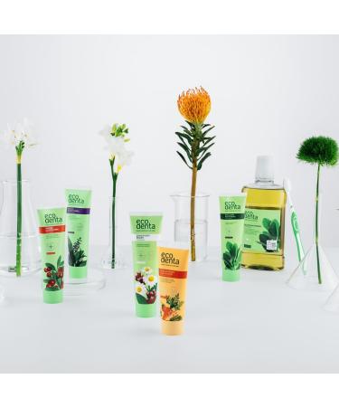  ECODENTA Ecodenta Multifunctional Antibacterial Mouthwash Mouthwash Fight Bad Breath 250 ml - Buy Online on GoSupps.com