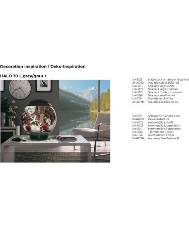 Biorb 46073 Horn Coral L - Dark Red Large Aquarium Decoration | Natural & Artificial Plastic Coral | Easy to Clean for Freshwater & Saltwater Tanks - Buy Online on GoSupps.com