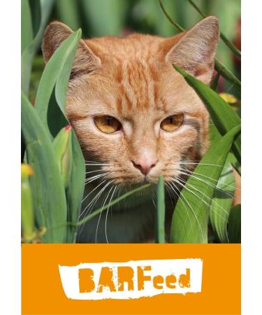 Vetfood Barfeed Taurine 150g - Supplement for Dogs & Cats | Supports Healthy Heart & Neurological System - Buy Online on GoSupps.com