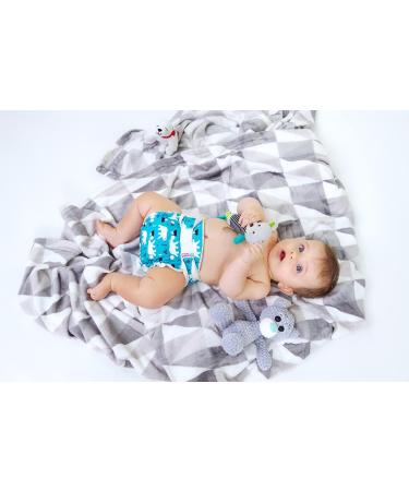 Petit Lulu Bamboo Fitted One Size Diaper | Hook & Loop | Reusable & Washable | Cupcakes Print - Buy Online on GoSupps.com