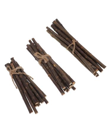 Lurrose 30pcs Stick Decor Diy Branch Accessory Natural Birch Twigs Wood Craft Diy Twig Earth Tones Lip Gloss