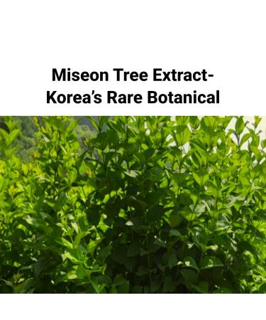 cepoLAB Biogenic Essence 50% CLEPS Blended Formula, Hydrating Face Serum with Misun Tree Water Korean Skincare for Dull & Dehydrated Skin, 1.01 fl.oz - Buy Online on GoSupps.com