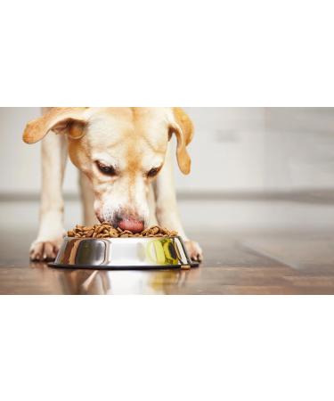 PIPER Wet Dog Food with Game and Pumpkin 400g - Buy Online on GoSupps.com
