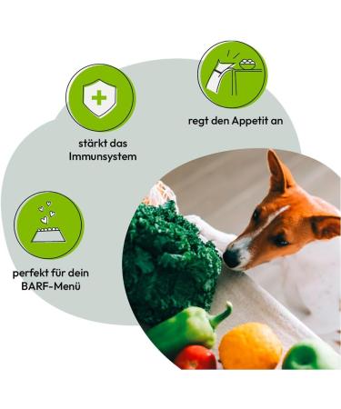 GRAU The Original Mix No. 2 Dried Vegetable Mix for BARF Menus for Dogs Pack of 1 (1 x 150 g) Food Supplement for Dogs - Buy Online on GoSupps.com