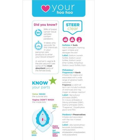 healthy hoohoo Gentle Feminine Wash - Fragrance-free & All Natural (4 fl oz) - Buy Online on GoSupps.com