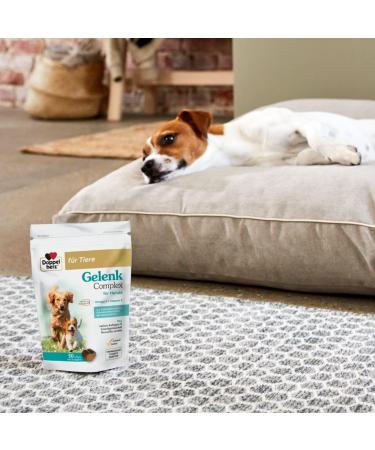Doppelherz Joint Complex for Dogs - Osteoarthritis Support - 60 Chews for Joint Health - Buy Online on GoSupps.com