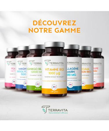 VITAMIN B12 1000 g | Bio-available form Methylcobalamin Pure | Vegan-friendly | Energy - Immune System - Nervous System | 120 Vegetable Capsules | Made in France | Terravita - Buy Online on GoSupps.com