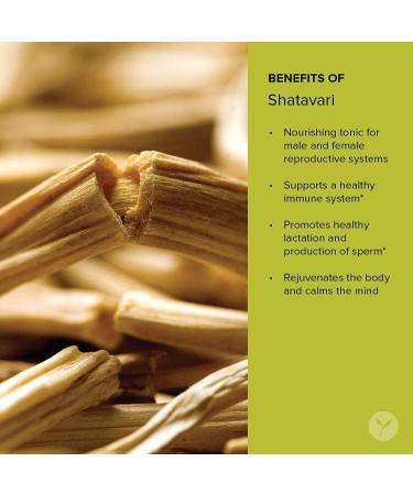 Organic Shatavari Root Extract Supplements - Calming & Cooling Formula for Rejuvenation and Vitality - 90 Tablets | Banyan Botanicals - Buy Online on GoSupps.com