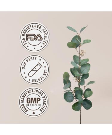 Alfalfa USDA Organic Alcohol-Free Extract | Dietary Supplement High-Potency Tincture | Natural Certified Organic Alfalfa Dried Leaf (4 oz) 4 Fl Oz (Pack of 1) - Buy Online on GoSupps.com