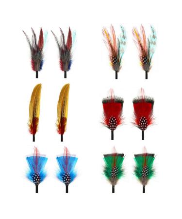 FALETO Hat Feathers 12 Pcs Assorted Natural Feather Packs Accessories