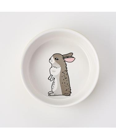 Nobby Rodent Ceramic Bowl Rabbit Green/White Diameter 11 cm x 4.5 cm Pack of 1 Green White - Buy Online on GoSupps.com