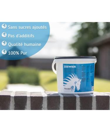 PharmaHorse Marine Algae Horse | Natural Source of Vitamins | Against Horse Fatigue & Lower Horse Tone | 5000g - Buy Online on GoSupps.com