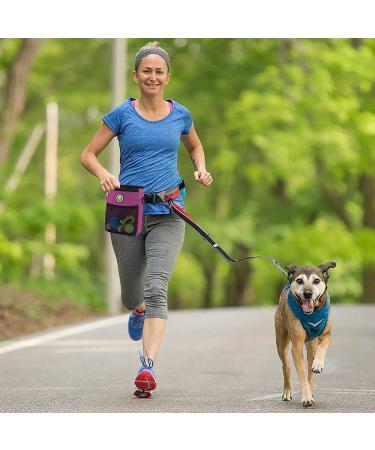 XL Waterproof Dog Feeding Bag - Perfect for Treats & Agility Training | Pink Rosarot - Buy Online on GoSupps.com