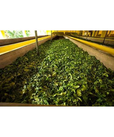 Bogawantalawa Legend Ceylon Black Tea BOPF 400g 14oz - Buy Online on GoSupps.com