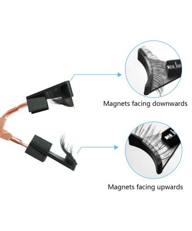 Reusable Magnetic Eyelashes - Glue and Eyeliner Free False Lashes for Women (2 Pairs) - Buy Online on GoSupps.com
