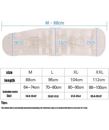 Lordosis Support Belt - Breathable XL Hip Belt for Enhanced Waist Support | Sports Health Solution for Men & Women - Buy Online on GoSupps.com