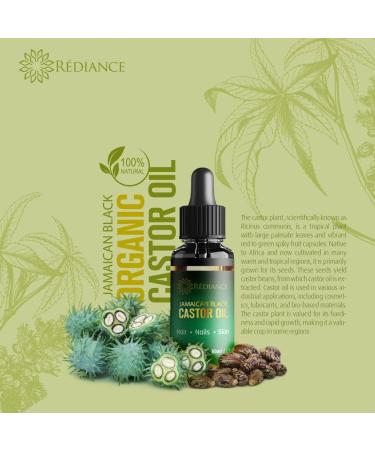 Jamaican Black Castor Oil 100% Pure & Cold-Pressed - Natural Hair Growth Oil | Best Organic Hair Oil for Women - 60ml - Buy Online on GoSupps.com
