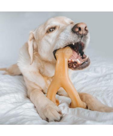 Benebone Wishbone Dog Chew Toy for Aggressive Chewers - Real Chicken Flavor | Large Size - International Shipping Available - Buy Online on GoSupps.com