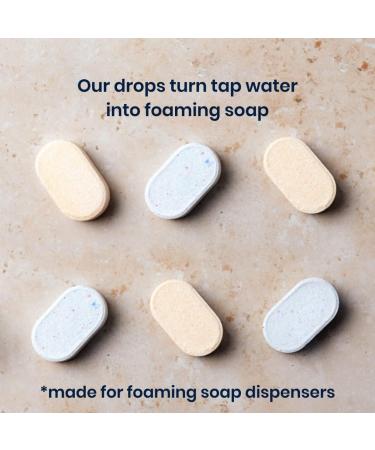 Raindrop 4-Pack Plastic-Free Foaming Hand Soap Refills - Mint & White Tea - Buy Online on GoSupps.com