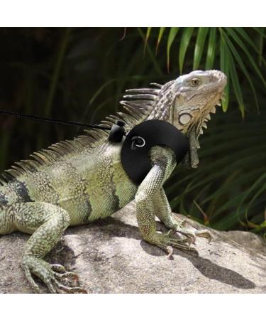 3PCS Adjustable Reptile Leather Harness Set with Cool Wings for Bearded Dragon & Small Pets - Buy Online on GoSupps.com