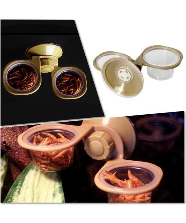 NBXINSLF Reptile Feeding Bowl Gecko Transparent Feeding Basin Reptile Food Bowl Water Dish for Reptiles Food and Water Feeding - Buy Online on GoSupps.com