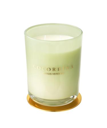 Cocorr na Candle fragrance candle in a glass-citrus iron herb burning time up to 46 hours with 2 wicks natural soy candle Christmas gift candle 420g citrus iron herb 420g