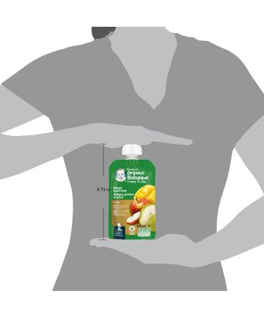 GERBER ORGANIC PUR E Mango Apple Pear Baby Food Meal 6+ months 128 ml 12 Pack Packaging May Vary Mango Apple & Pear - Buy Online on GoSupps.com