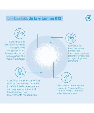 Vita PLAISIR DE VIVRE SOD de melon Compl ment alimentaire pour le bien- tre de l esprit et du corps fatigue moral Vitamine B6 B9 B12 Zinc Levure de S l nium 60 G lules - Buy Online on GoSupps.com