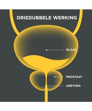 Menfloden Prostate Health - Triple Action Liquid Formula with Cucurbita Pepo & Serenoa Repens | 1 Cap/Day Lab Tested - Buy Online on GoSupps.com