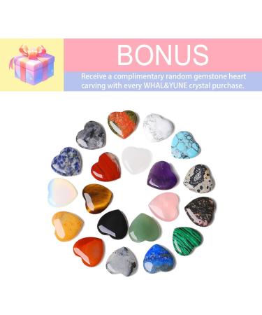 WHAL&YUNE Thumb Worry Stone for Anxiety Relief | 7 Chakra Healing Crystals | Natural Oval Gemstone Meditation & Reiki Gift - 1.8 inches - Buy Online on GoSupps.com