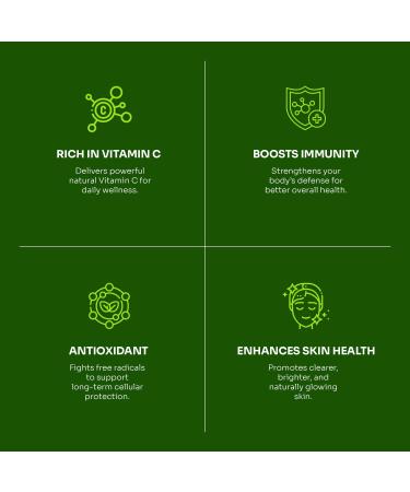 PureAyurbliss 100% Organic Amla Tablets Ayurvedic for Digestive Health Gut Balance and Immune Support Vegan Non-GMO Amla Capsules for Daily Vitality Skin Wellness & Natural Nutrition - 90 Count - Buy Online on GoSupps.com