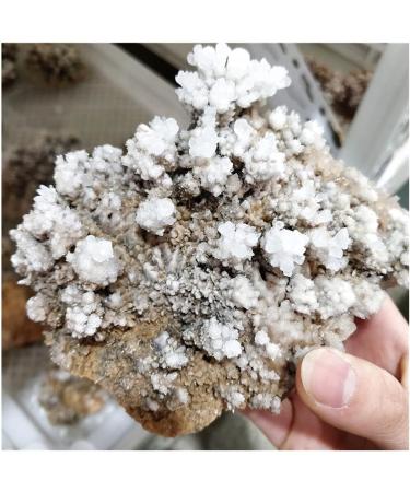 Decorative Ornaments Natural Rough Crystalline Crystal Stone Zeolite Quartz Apophyllite Raw Rock Decorations Specimens (Size : 1.0-1.15kg) - Buy Online on GoSupps.com