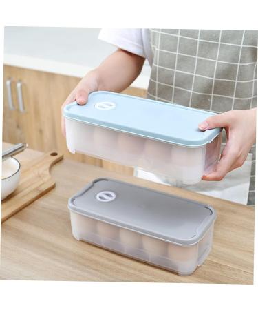 RORPOIR 1pc Box Egg Storage Box Storage Bins Refrigerator Eggs Storage Trays Egg Tray Blush Grid re-usable Blue 24x11.5cm - Buy Online on GoSupps.com