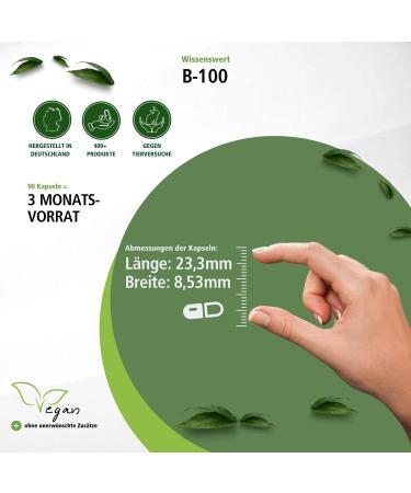 Fairvital Vitamin B Complex Forte - High Dose B-100 with All B Vitamins (90 Capsules) - Boost Energy & Support Health Worldwide - Buy Online on GoSupps.com