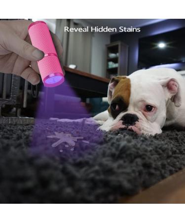 Leagy Mini UV Flashlight 2-Pack - 9 LEDs Pet Urine Detector & More - Ideal for Dog/Cat Stains Bed Bugs and Falsification Detection (Pink) - Buy Online on GoSupps.com