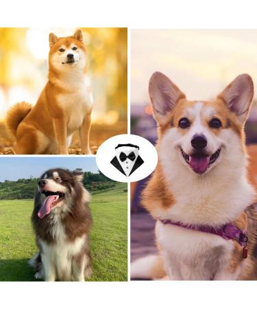 Caasfooy Dog Tuxedo Collar - Adjustable Smoking Bandana for All Sizes - Formal Wear for Small Medium & Large Dogs - Buy Online on GoSupps.com