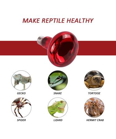 Naveso 100W Infrared Heat Lamp for Reptiles & Animals - Durable E27 Base Red Light Radiators (2 Pack) - Ideal for Turtles Chickens & Terrariums - Buy Online on GoSupps.com