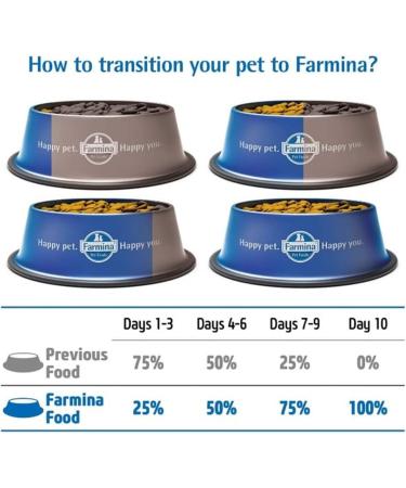 N&D Ocean Dog Salmon COD and Cantaloupe Melon Adult Medium & Maxi 2 5 KG - Buy Online on GoSupps.com