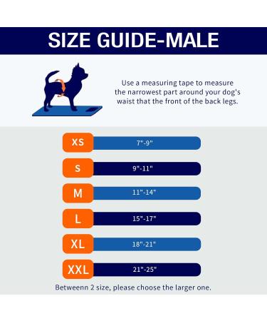 Micoooyo Washable Abdominal Bandage for Male Dogs | Reusable Adjustable Dog Diapers | Suction-Enabled Wraps 3-Pack (Elephants Snails Birds) - Small (22.8-33cm Waist) - Buy Online on GoSupps.com