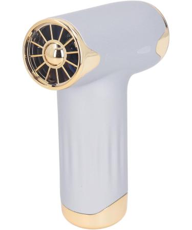 Alomejor Mini Fan - Portable Bladeless Hair Dryer for Pets | 4 Wind Levels 1100mAh Battery - Ideal for Cats & Dogs (Silver - Buy Online on GoSupps.com