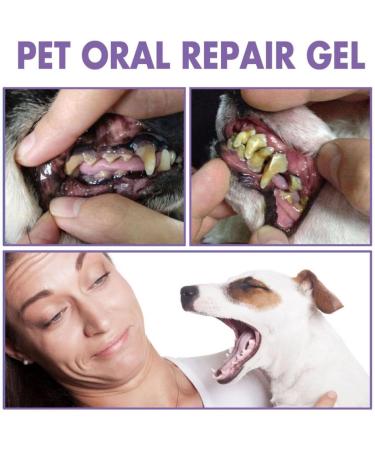 Mzshne Oral Repair Gel for Pet Eliminate Bad Breath Freshening Oral Gel for Teeth Cleaning Tool - Buy Online on GoSupps.com