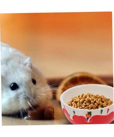 COLLBATH Hamster Food Bowl Rabbit Supplies Rabbit Feeder Bunny Water Bowl Hamster Water Bowl Ceramic Small Animal Dishes Pottery Pet Dish Guinea Pig Dish Guinea Pig Feeder Hamster Bowl Red - Buy Online on GoSupps.com