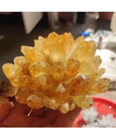 Crystal Rough Specimen Healed 1PC Natural Yellow Ghost Phantom Quartz Crystal Cluster Specimen Home Decoration Office Living Room Crystal Decora As a Gift 400-500g - Buy Online on GoSupps.com