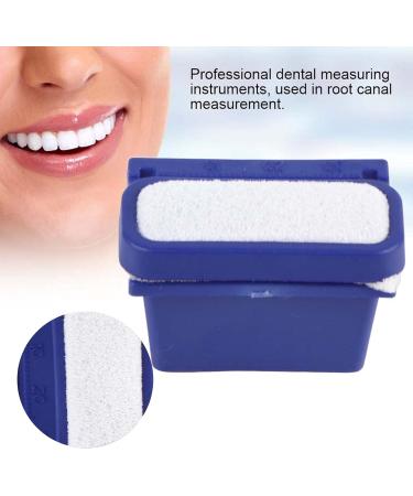 Endo Ruler Dental Endodontic Files Endodontic Files CleansingDental Endodontic Files Measure Ruler Oral Cleansing with Finger Ring (Blue) - Buy Online on GoSupps.com