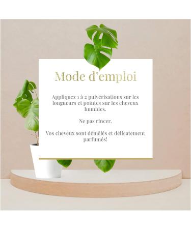  Arganicare Arganicare - Express Repair Bi-Phase Spray - Leave-In Detangling Spray with Castor Oil - 250 ml - Buy Online on GoSupps.com